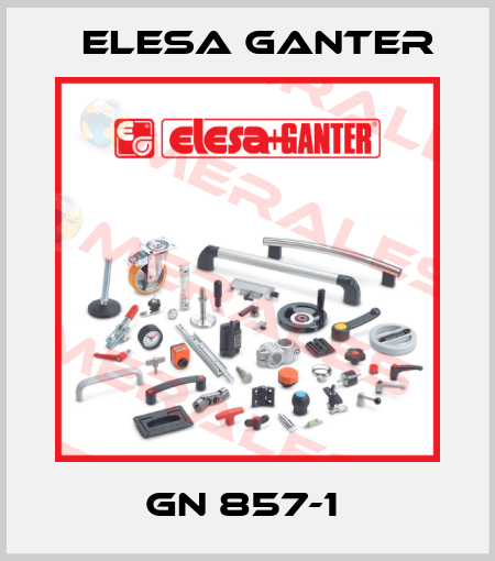 GN 857-1  Elesa Ganter