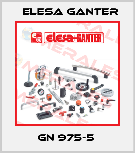 GN 975-5  Elesa Ganter