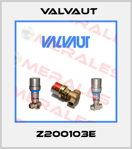 Z200103E Valvaut