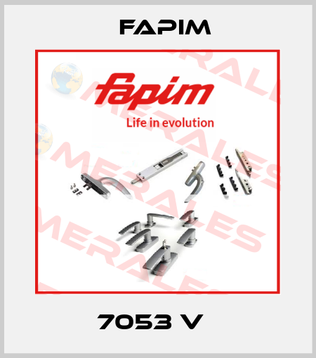 7053 V   Fapim