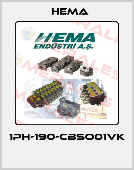 1PH-190-CBSO01VK  Hema