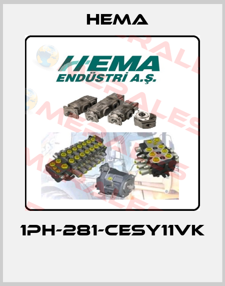 1PH-281-CESY11VK  Hema
