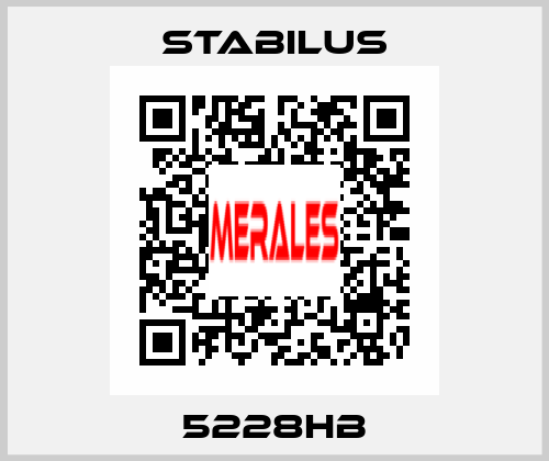 5228HB Stabilus