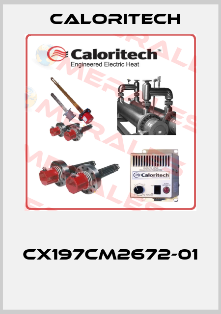  CX197CM2672-01  Caloritech