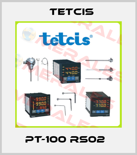 PT-100 RS02   Tetcis