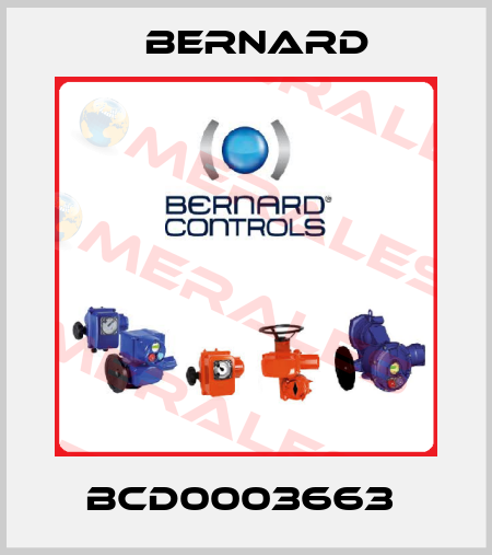 BCD0003663  Bernard
