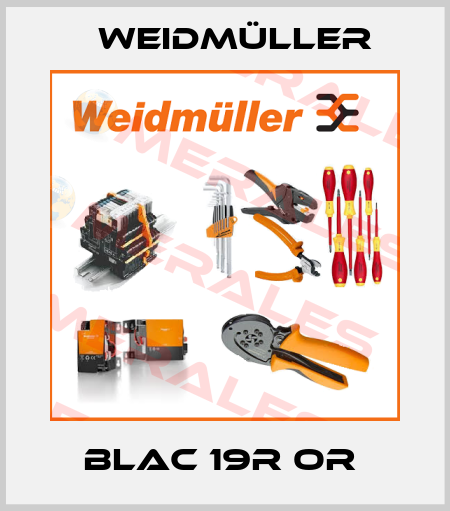 BLAC 19R OR  Weidmüller