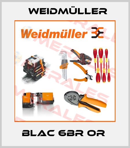 BLAC 6BR OR  Weidmüller