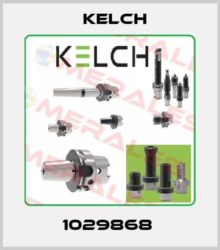 1029868  Kelch