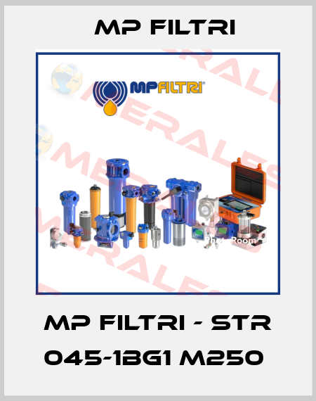 MP Filtri - STR 045-1BG1 M250  MP Filtri