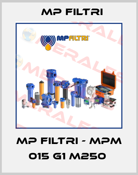 MP Filtri - MPM 015 G1 M250  MP Filtri