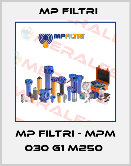 MP Filtri - MPM 030 G1 M250  MP Filtri