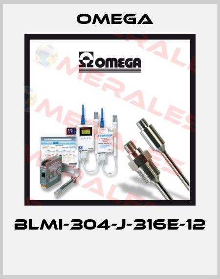 BLMI-304-J-316E-12  Omega