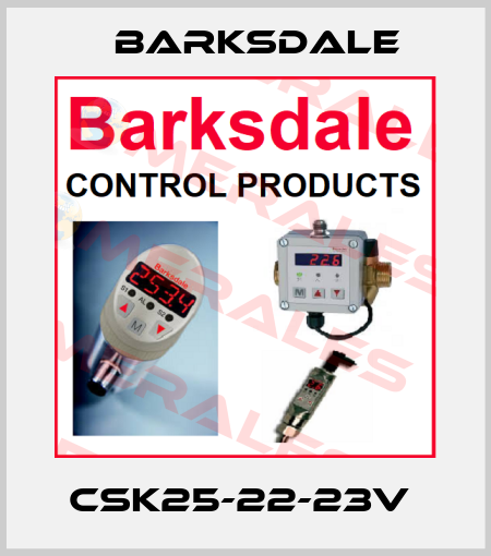 CSK25-22-23V  Barksdale