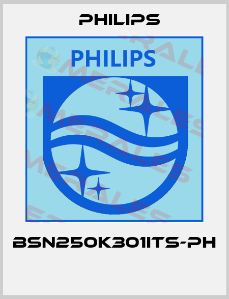 BSN250K301ITS-PH  Philips