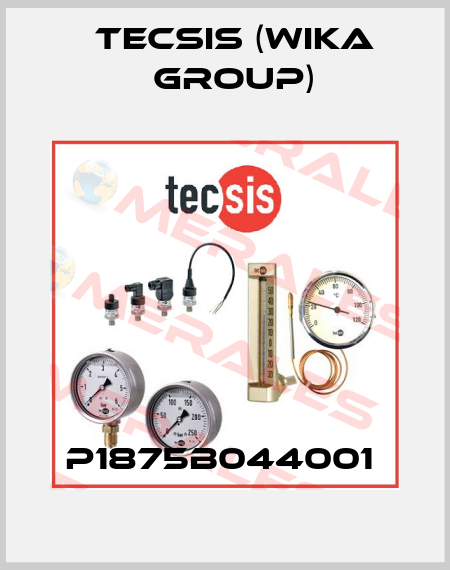 P1875B044001  Tecsis (WIKA Group)