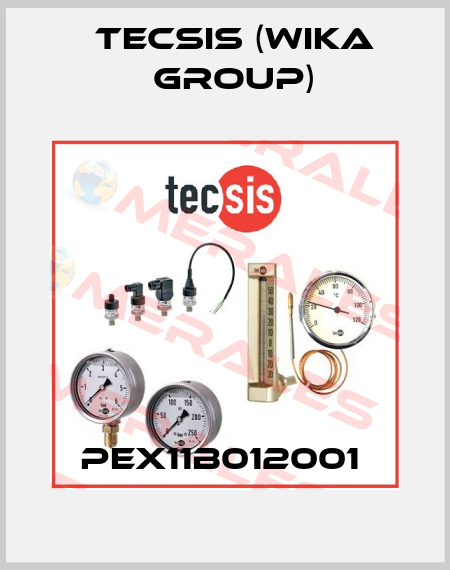 PEX11B012001  Tecsis (WIKA Group)