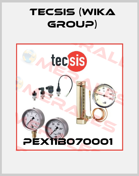 PEX11B070001  Tecsis (WIKA Group)
