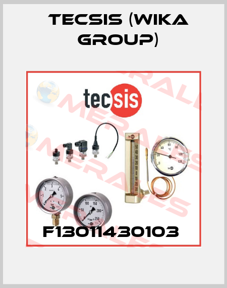 F13011430103  Tecsis (WIKA Group)