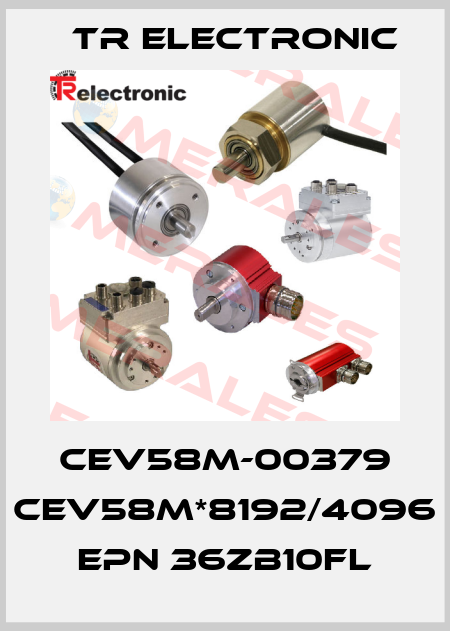 CEV58M-00379 CEV58M*8192/4096 EPN 36ZB10FL TR Electronic