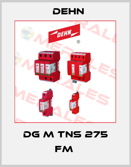 DG M TNS 275 FM  Dehn