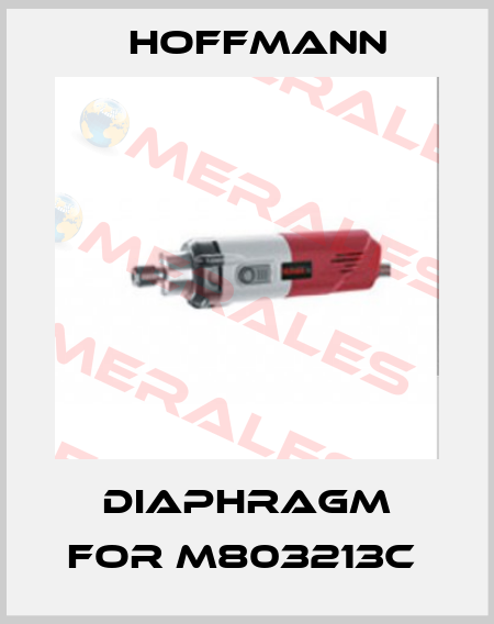 DIAPHRAGM FOR M803213C  Hoffmann