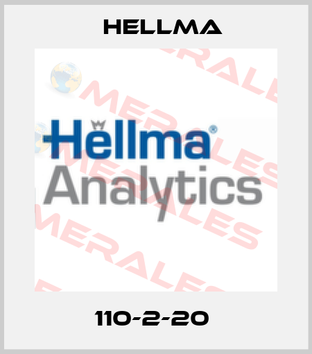 110-2-20  Hellma
