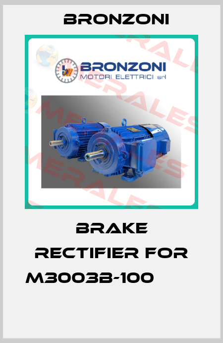 Brake rectifier for M3003B-100               Bronzoni