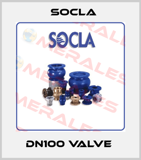 DN100 valve  Socla