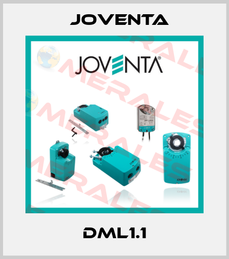 DML1.1 Joventa