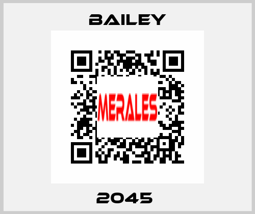 2045  Bailey