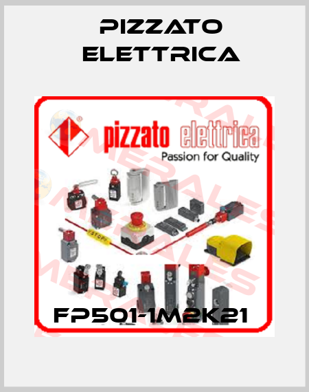FP501-1M2K21  Pizzato Elettrica