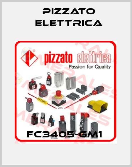 FC3405-GM1  Pizzato Elettrica