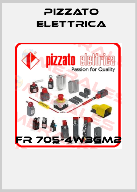 FR 705-4W3GM2  Pizzato Elettrica