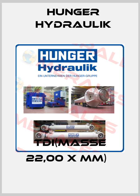 TDI(Maße 22,00 x mm)   HUNGER Hydraulik