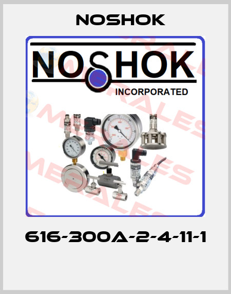 616-300A-2-4-11-1  Noshok
