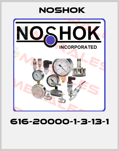 616-20000-1-3-13-1  Noshok