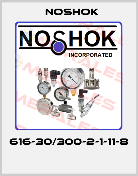 616-30/300-2-1-11-8  Noshok