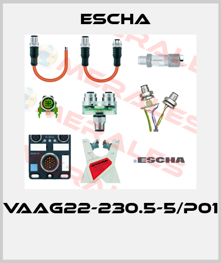 VAAG22-230.5-5/P01  Escha