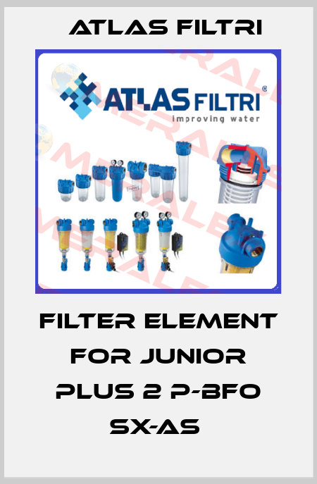 FILTER ELEMENT FOR JUNIOR PLUS 2 P-BFO SX-AS  Atlas Filtri