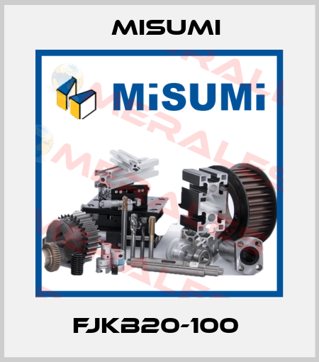 FJKB20-100  Misumi