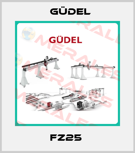 FZ25  Güdel