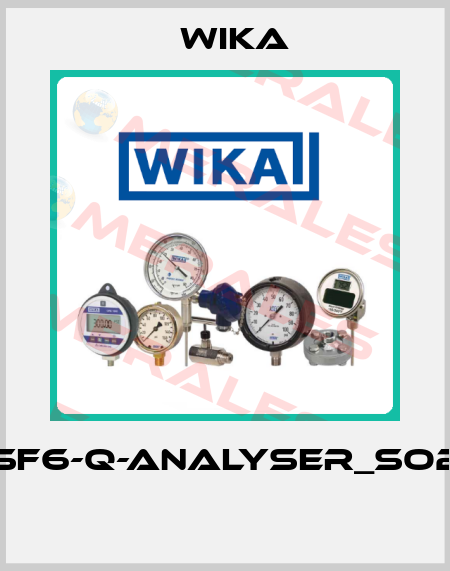 GA11-SF6-Q-ANALYSER_SO2_500  Wika
