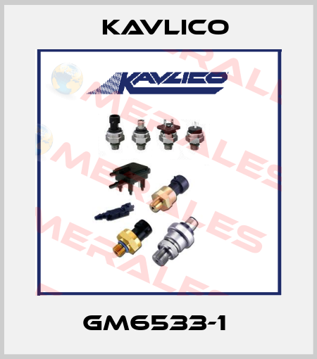 GM6533-1  Kavlico