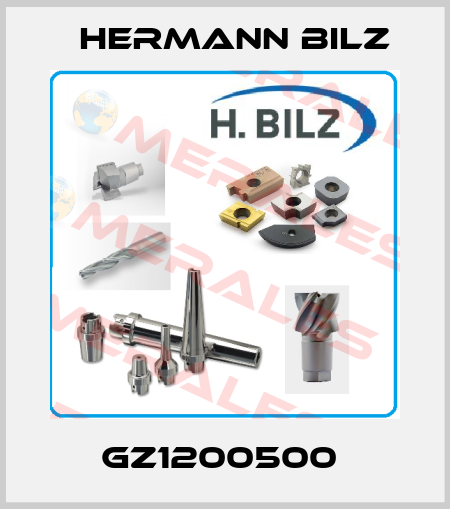 GZ1200500  Hermann Bilz
