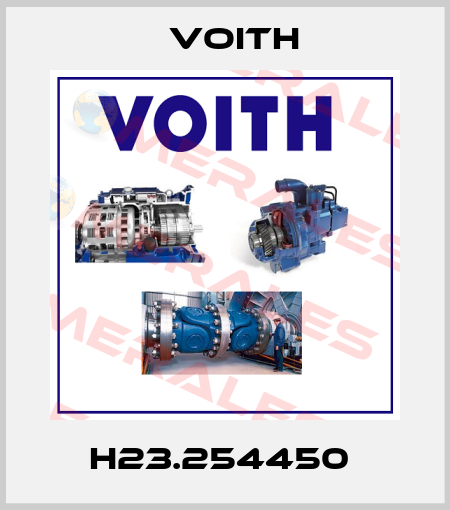 H23.254450  Voith