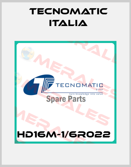 HD16M-1/6R022  Tecnomatic Italia