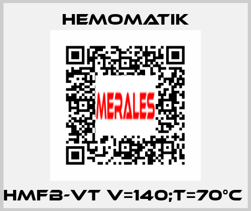 HMFB-VT V=140;T=70°C  Hemomatik