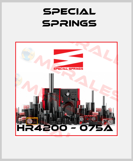 HR4200 – 075A  Special Springs