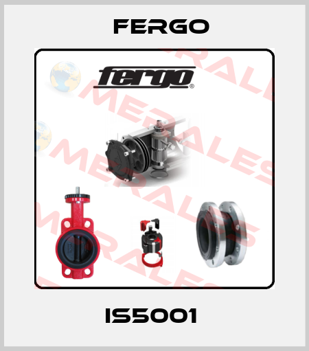 IS5001  Fergo